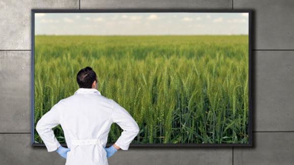 Products That Promote Themselves