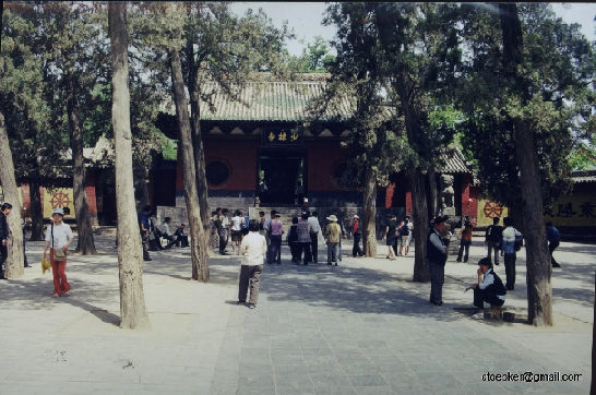 Damo: Conspiracy of Ignorance