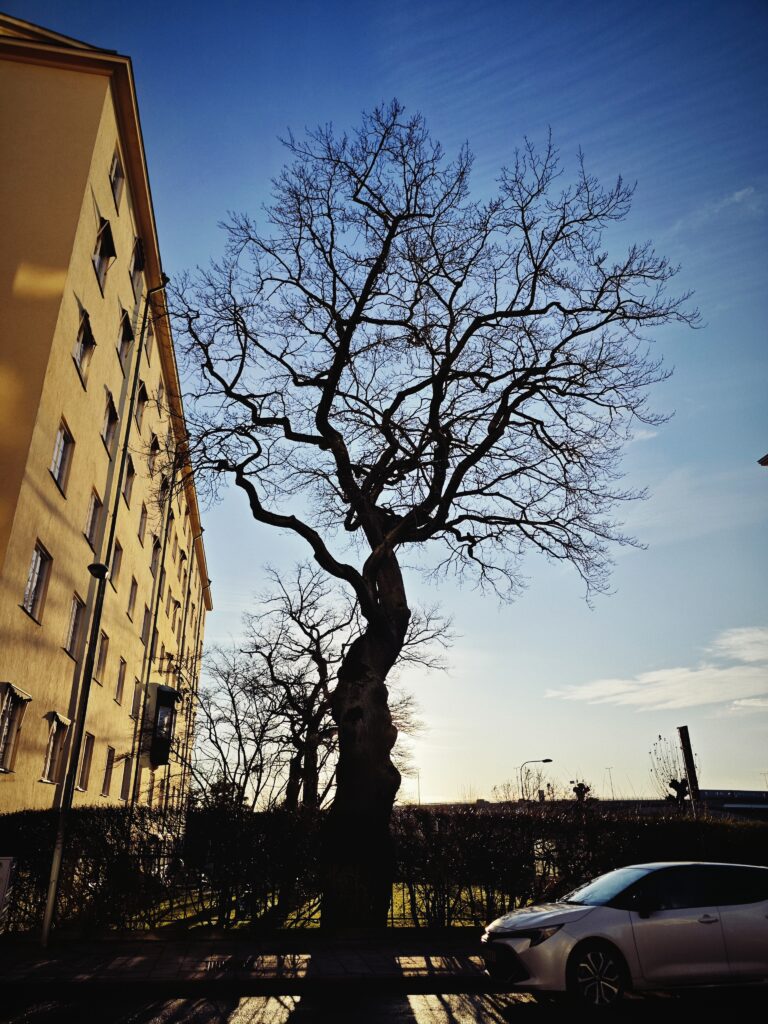 It’s in the Signs: Kungsholmen